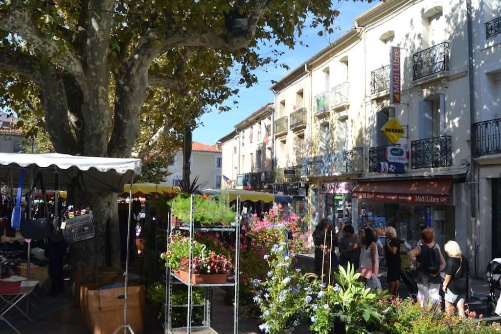 Appartement Pour Vous à Mèze Extérieur photo